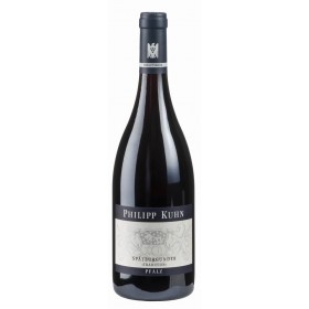 Weingut Philipp Kuhn Pinot Noir Tradition 2018 trocken VDP Gutswein