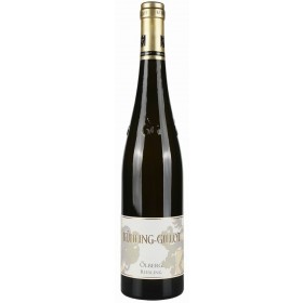 Weingut Kühling-Gillot Ölberg Riesling 2018 Magnum trocken VDP Großes Gewächs Biowein