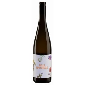 Weingut Jurtschitsch Grüner Veltliner Belle Naturelle Naturwein 2021 Biowein trocken